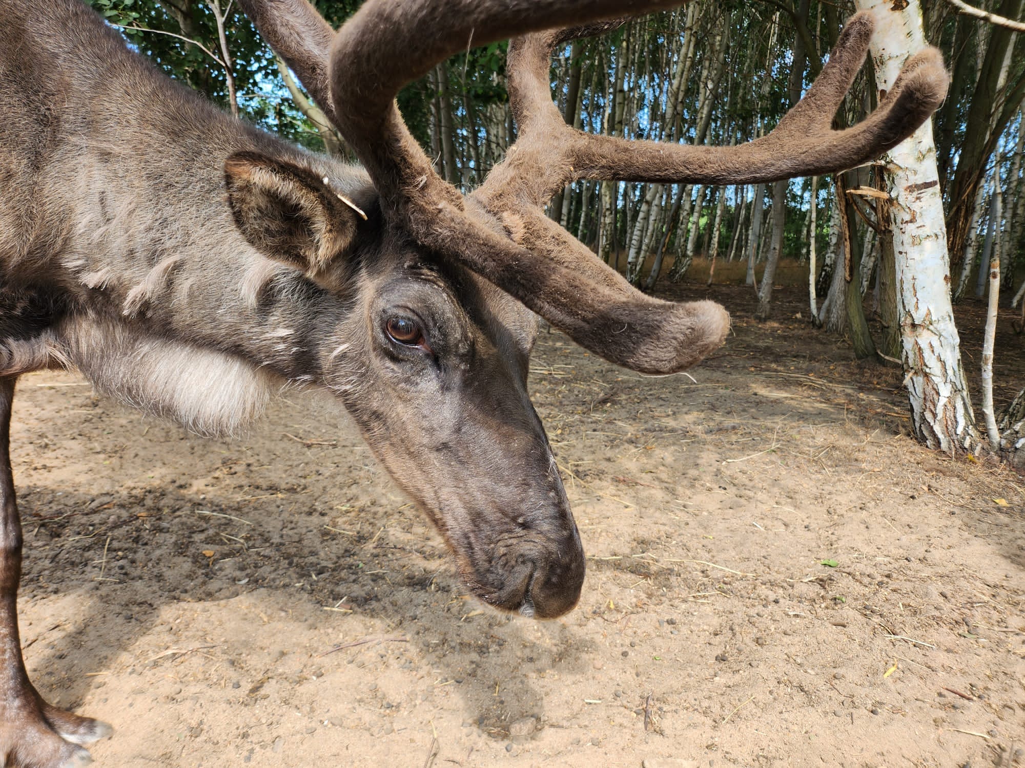 LappyLand to pierwszy na Mazowszu interakcyjny park zoologiczny