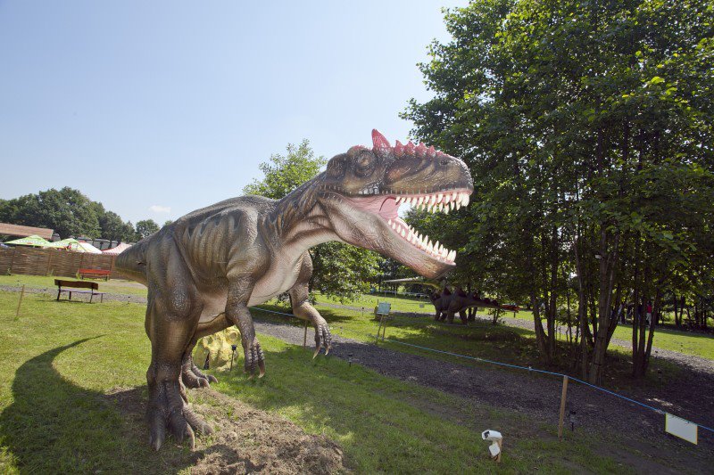 Park Dinozaurów w Ustroniu zlikwidowany!