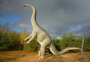 Park Dinozaurów w Nowinach Wielkich