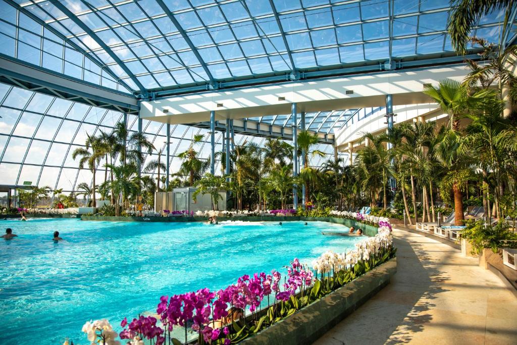 Suntago będzie immersyjne!