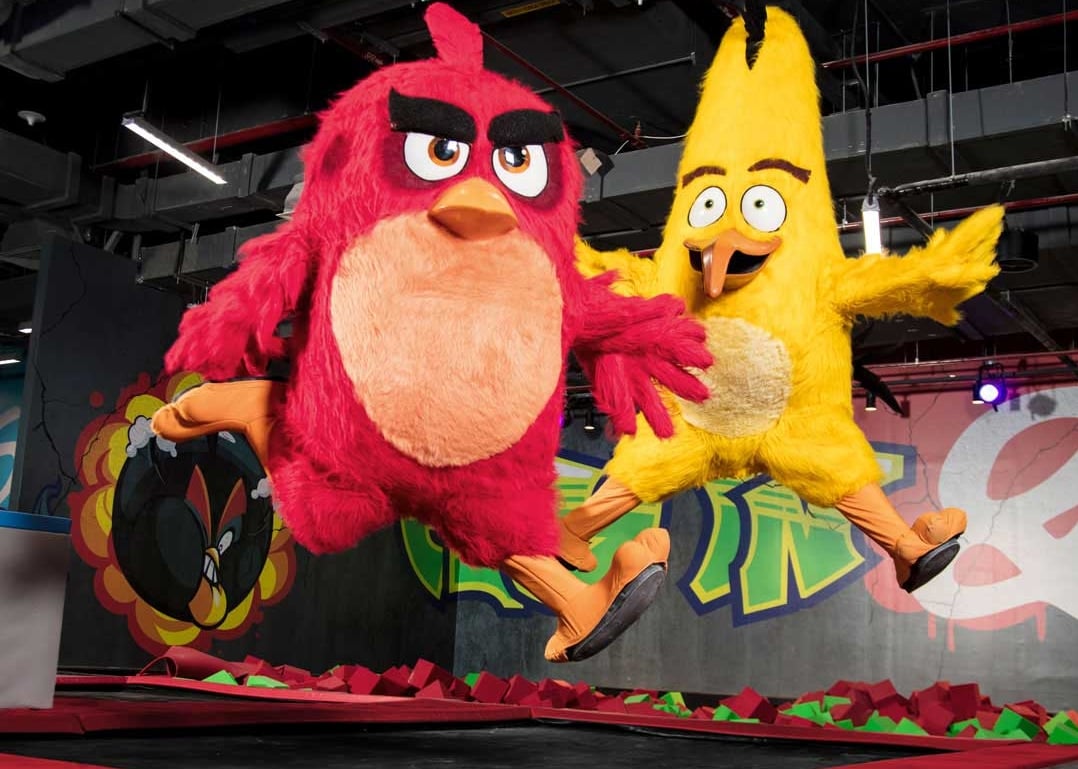 „Zakatarzone” Angry Birds