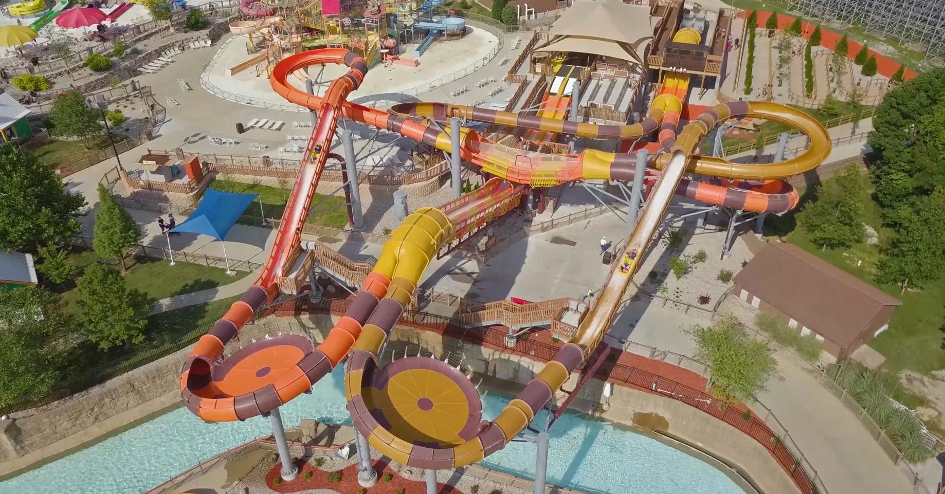 Cheetah Chase rusza!