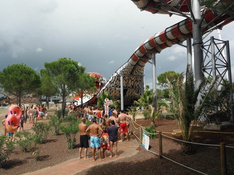 King Cobra_Frejus