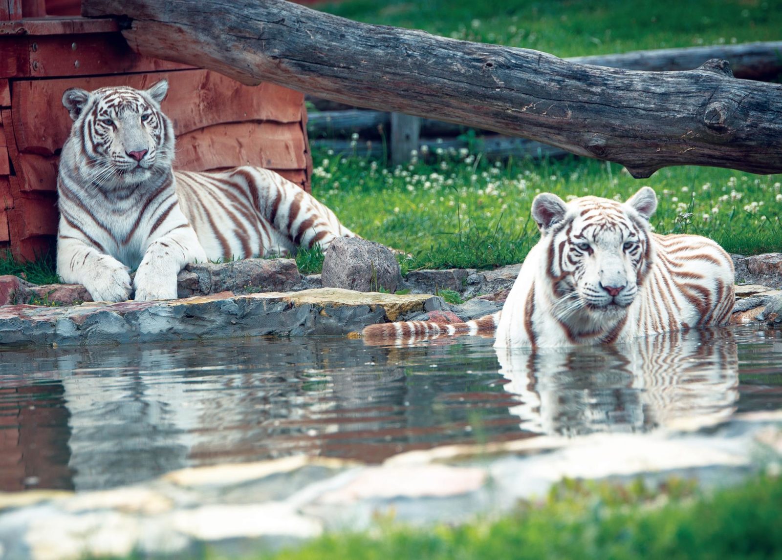 Turystyczny biznes prowadzony z pasją…