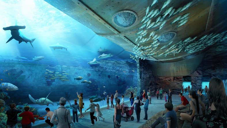 Oceanarium w Gdańsku – budowa ruszy jeszcze w tym roku!