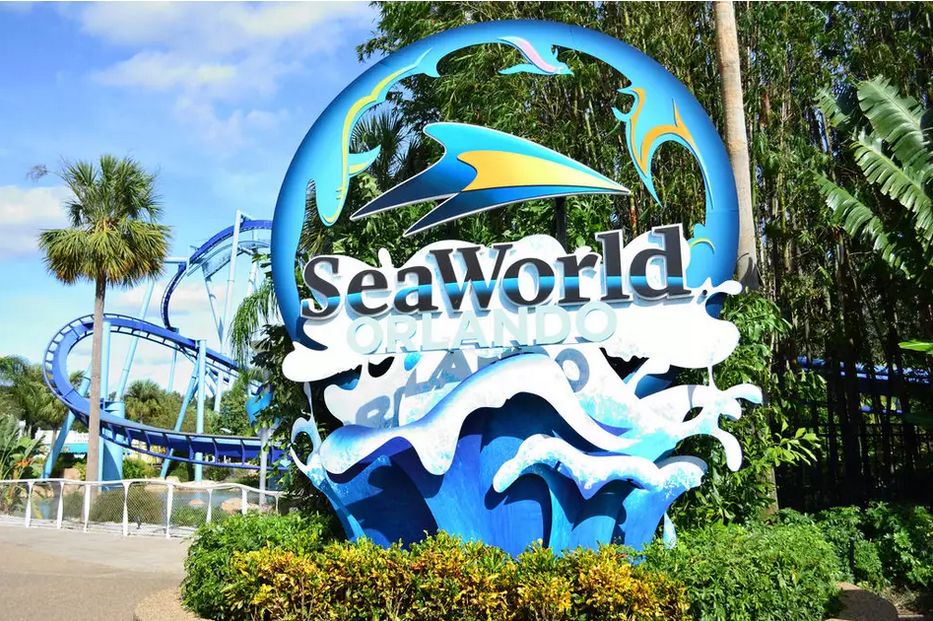 Dobra wiadomość dla fanów SeaWorld i Aquatica