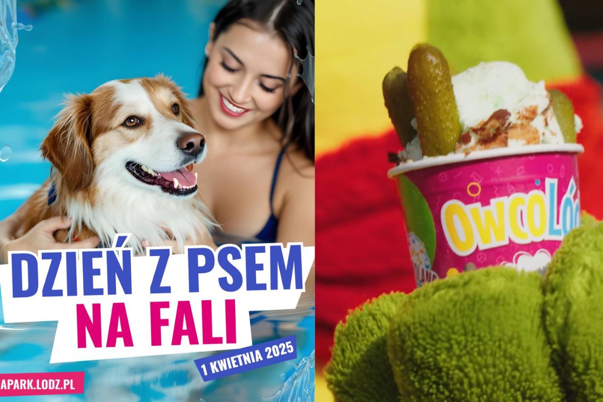 Lody z kiszonych ogórków i aquapark dla psów. Tak branża rozrywki uczciła Prima Aprilis [PRZEGLĄD]