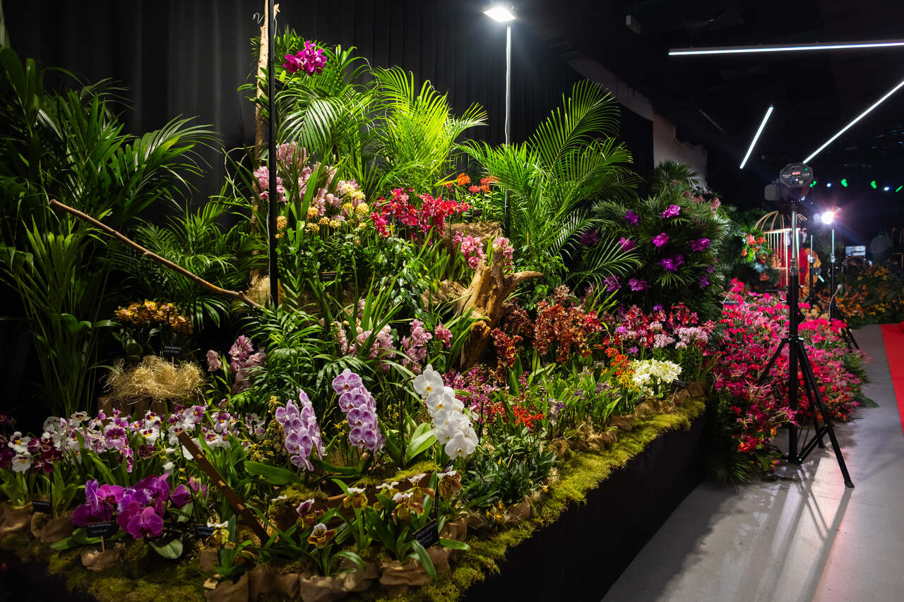World Flower Show
