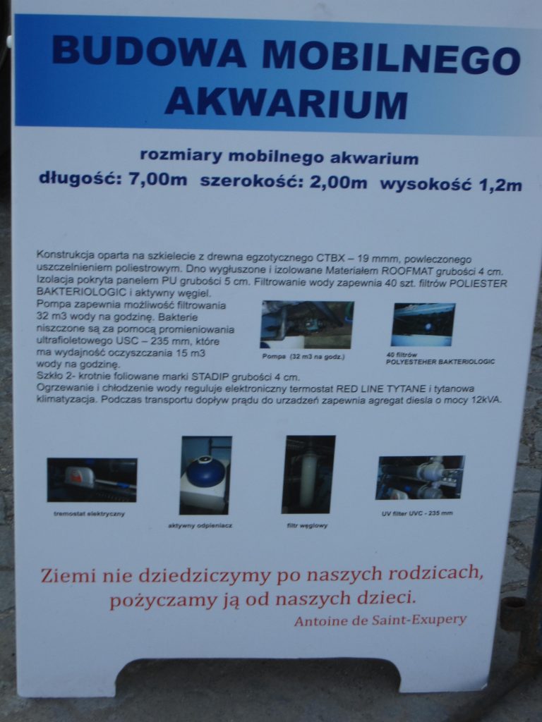 objazdowe rekiny