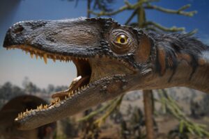 Łebapark w Łebie