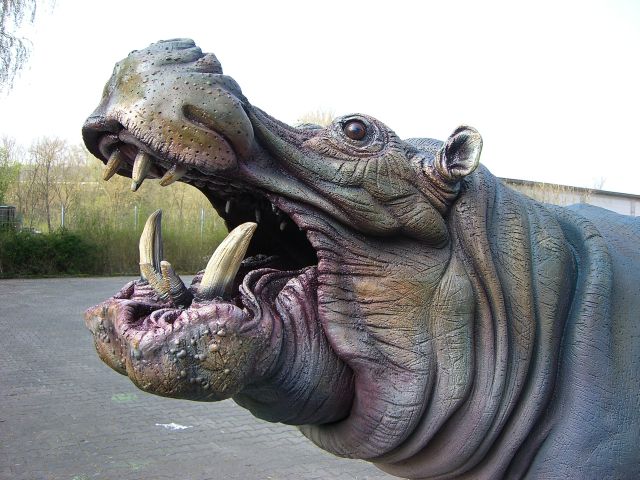 A gdyby drzewa mogły mówić?