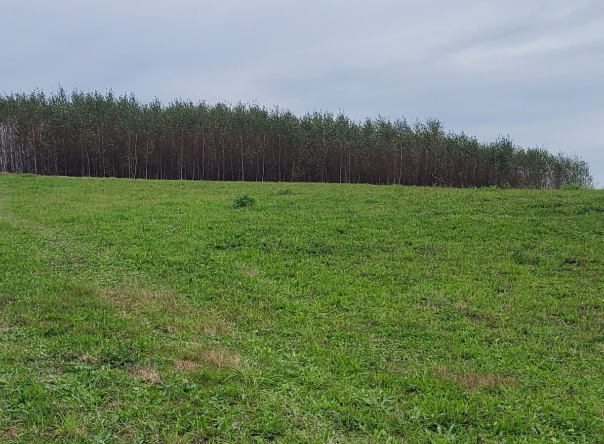 Kraina Przygód