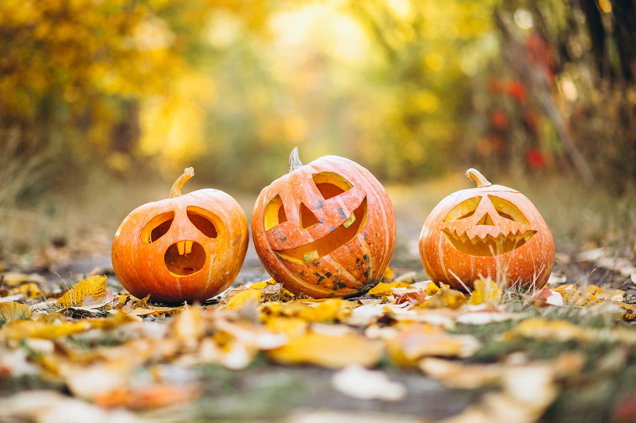 Parki rozrywki pokochały Halloween. „Mnóstwo imprez i farm z dyniami”