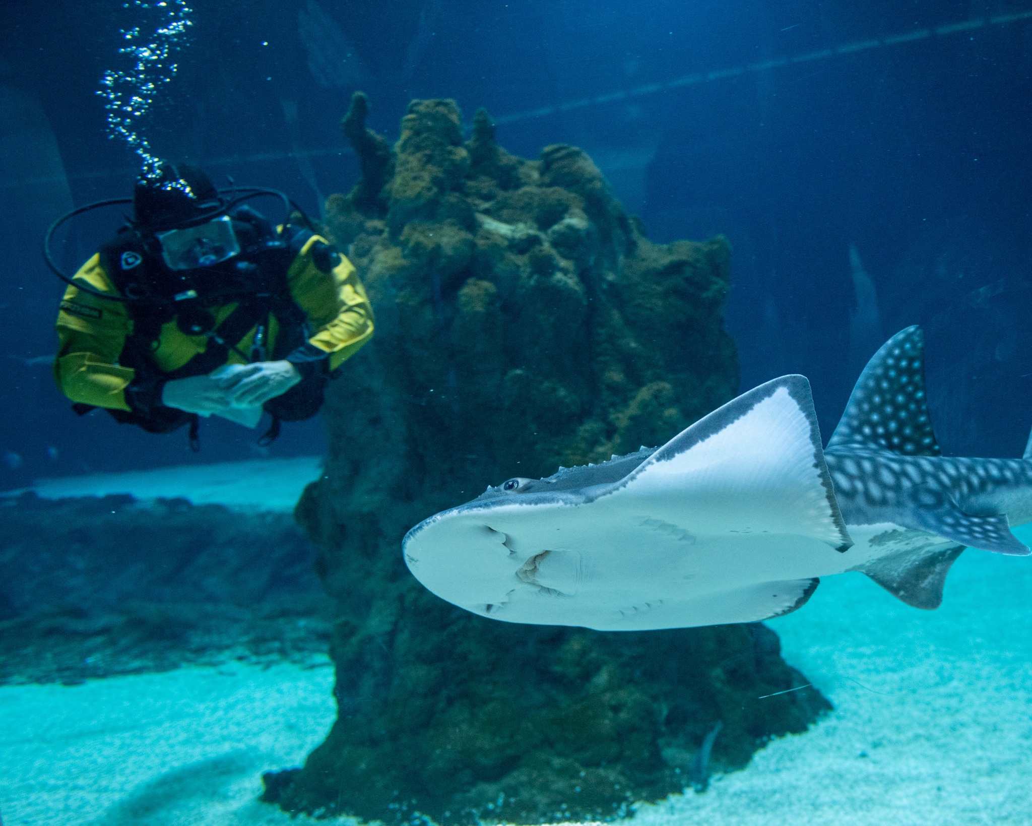 Orientarium Zoo Łódź na ustach świata!