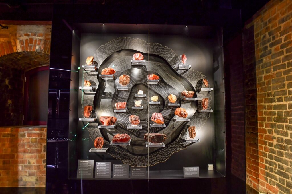 Wystawa muzeum bursztynu