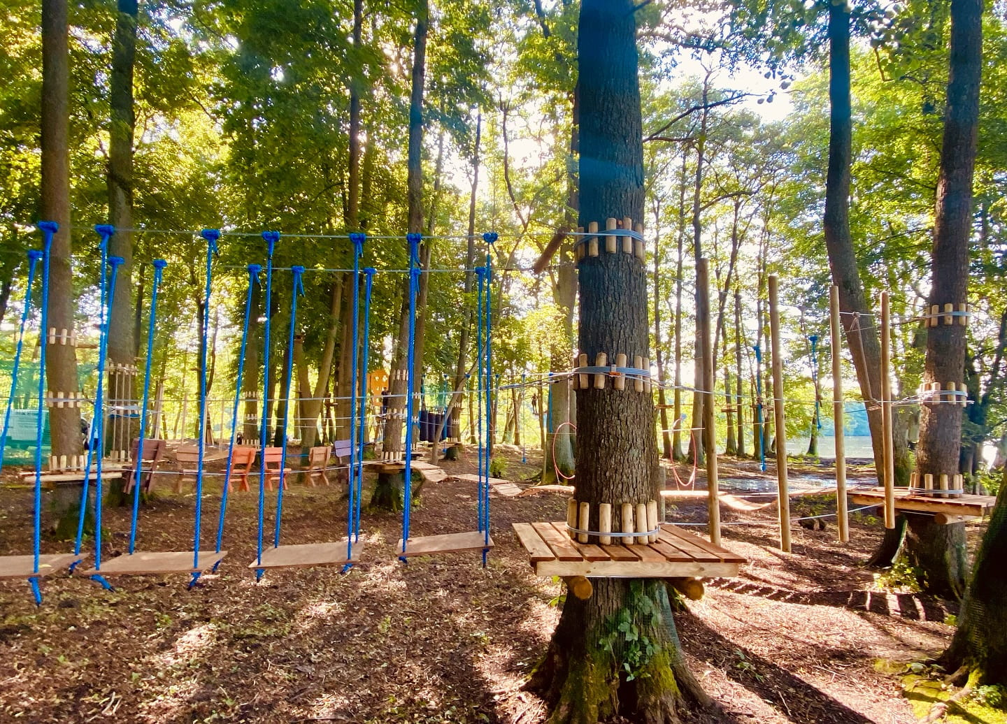 Nowy park linowy w Szczecinku. Linolandia już otwarta