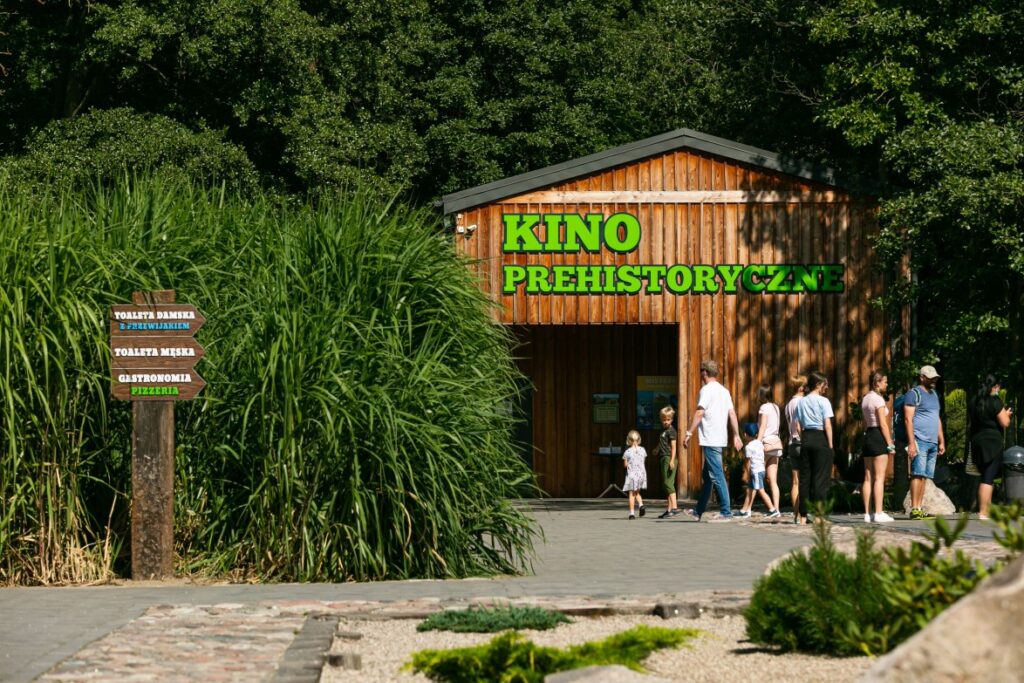 kino w Parku Ewolucji 