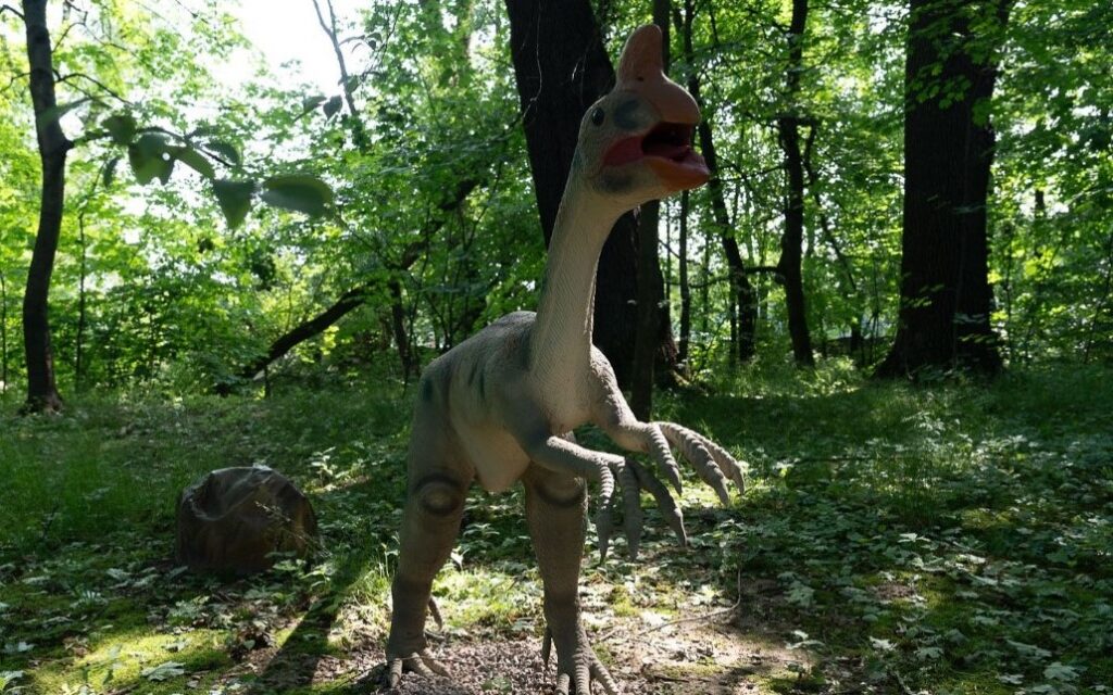 Zatorland