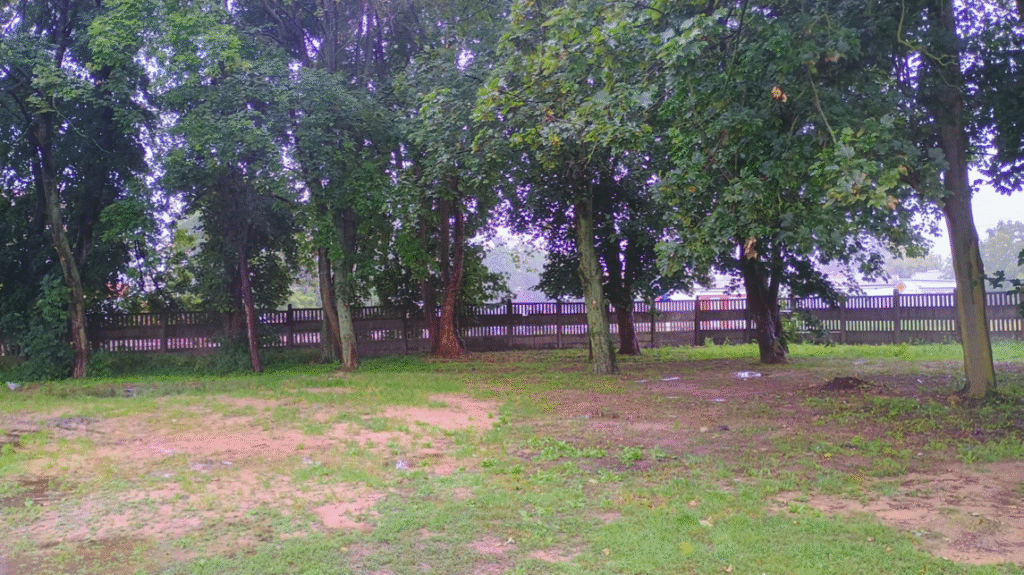 Nowy park linowy w Mławie