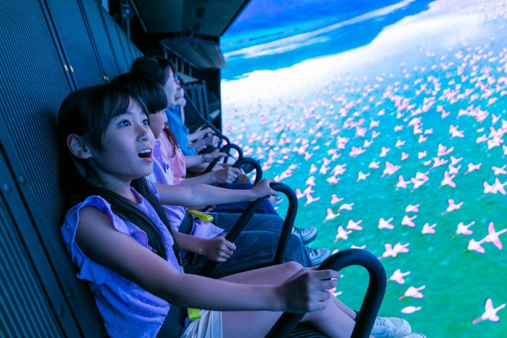 „Flying Theater” Brogent Technologies