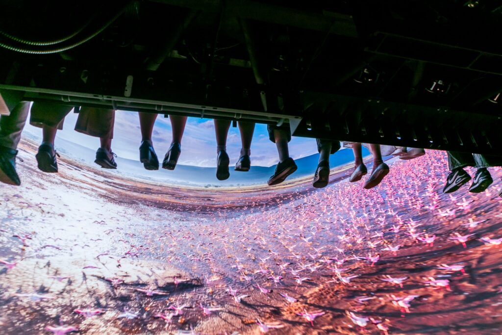 „Flying Theater” Brogent Technologies