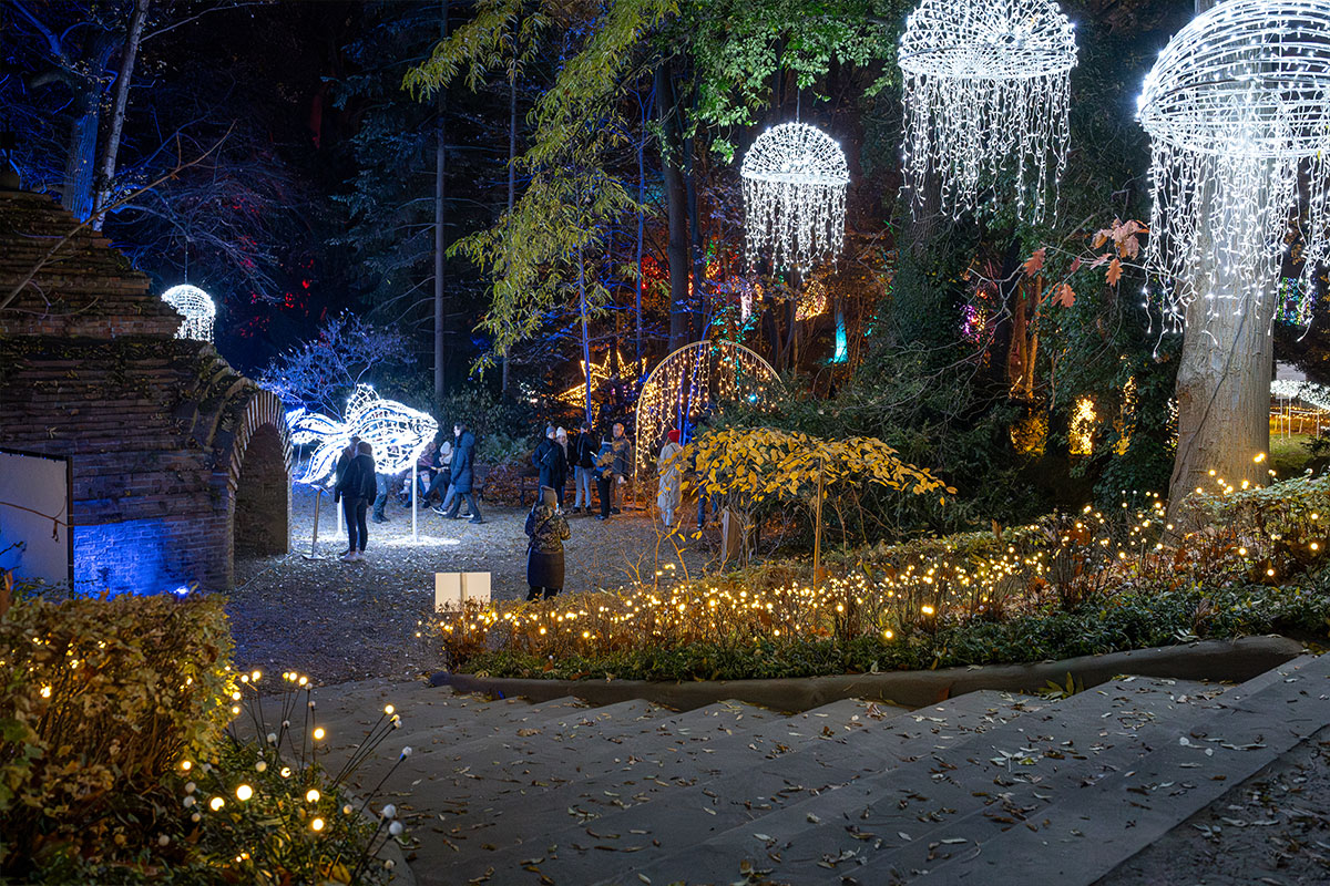 Magiczny Botaniczny