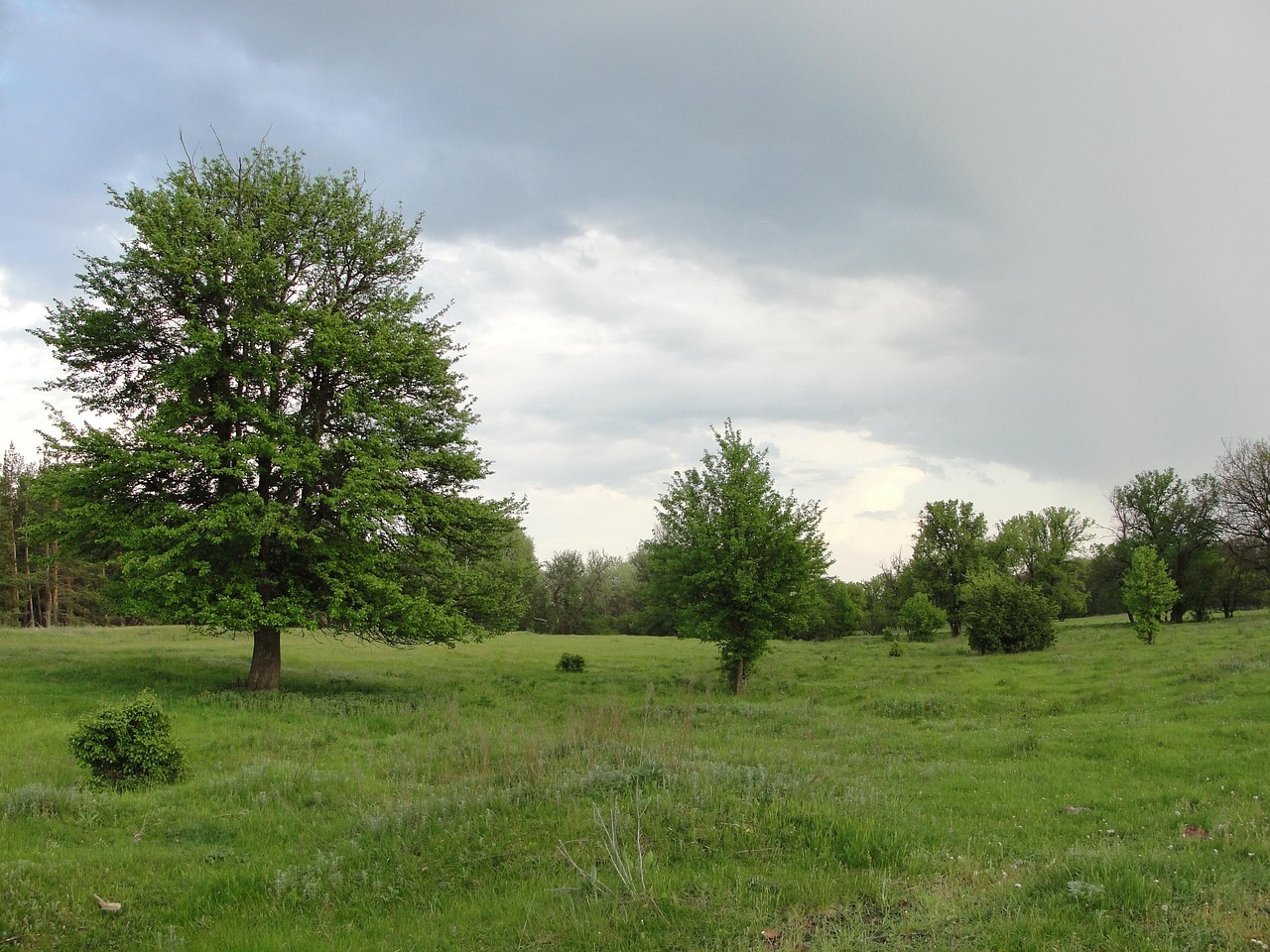 park tematyczny
