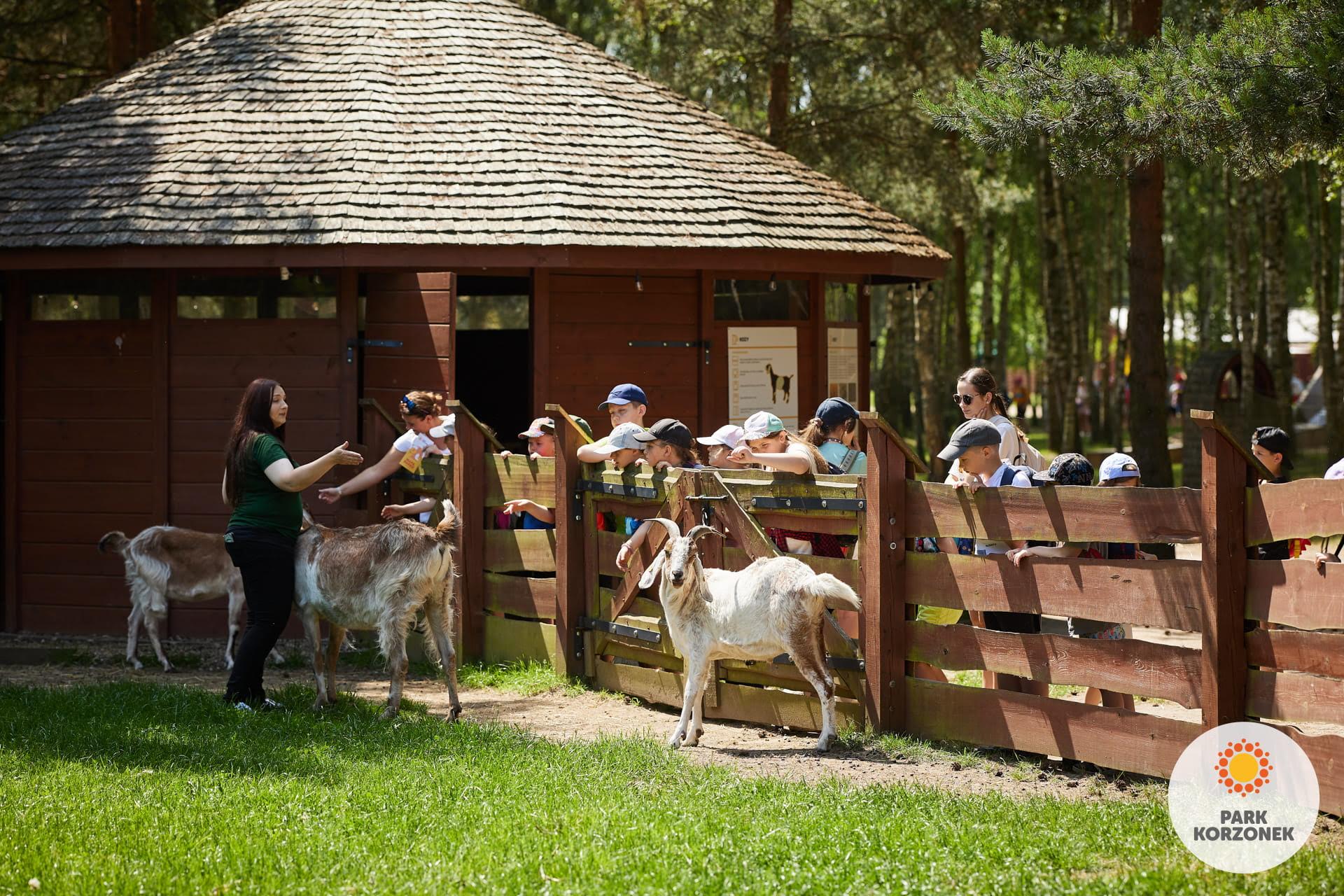 Nowości w Parku Korzonek. Powstaną dwie nowe strefy tematyczne