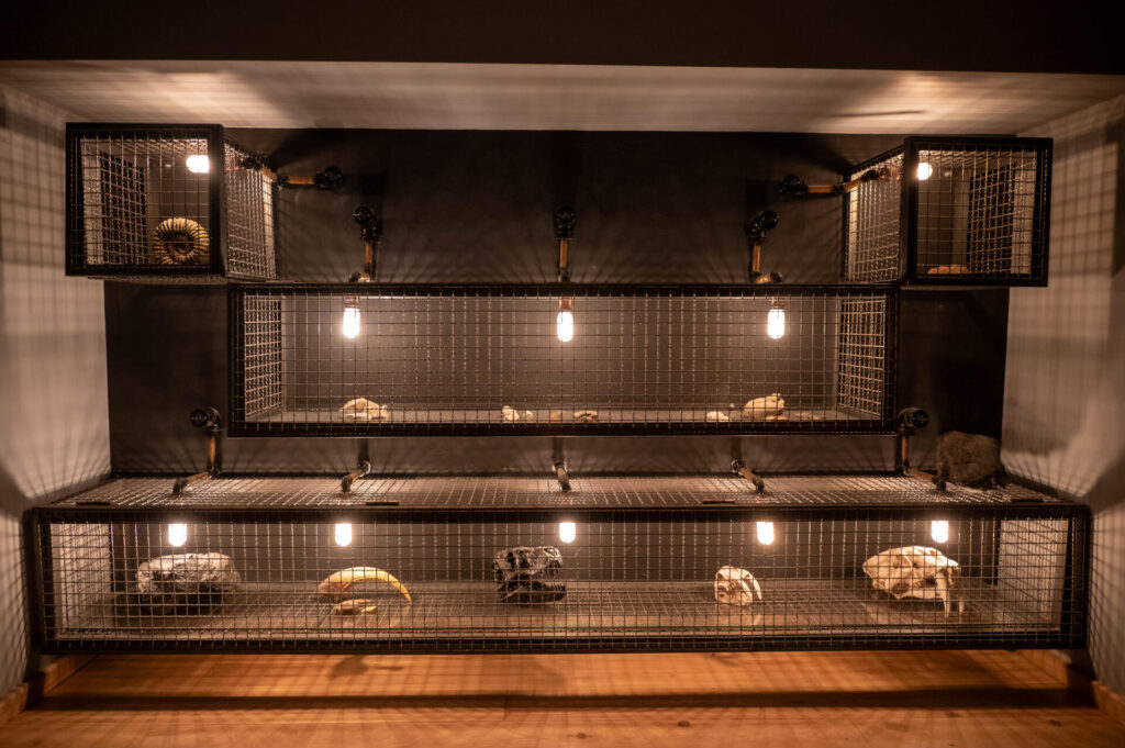 Kamienica Oleśnickich