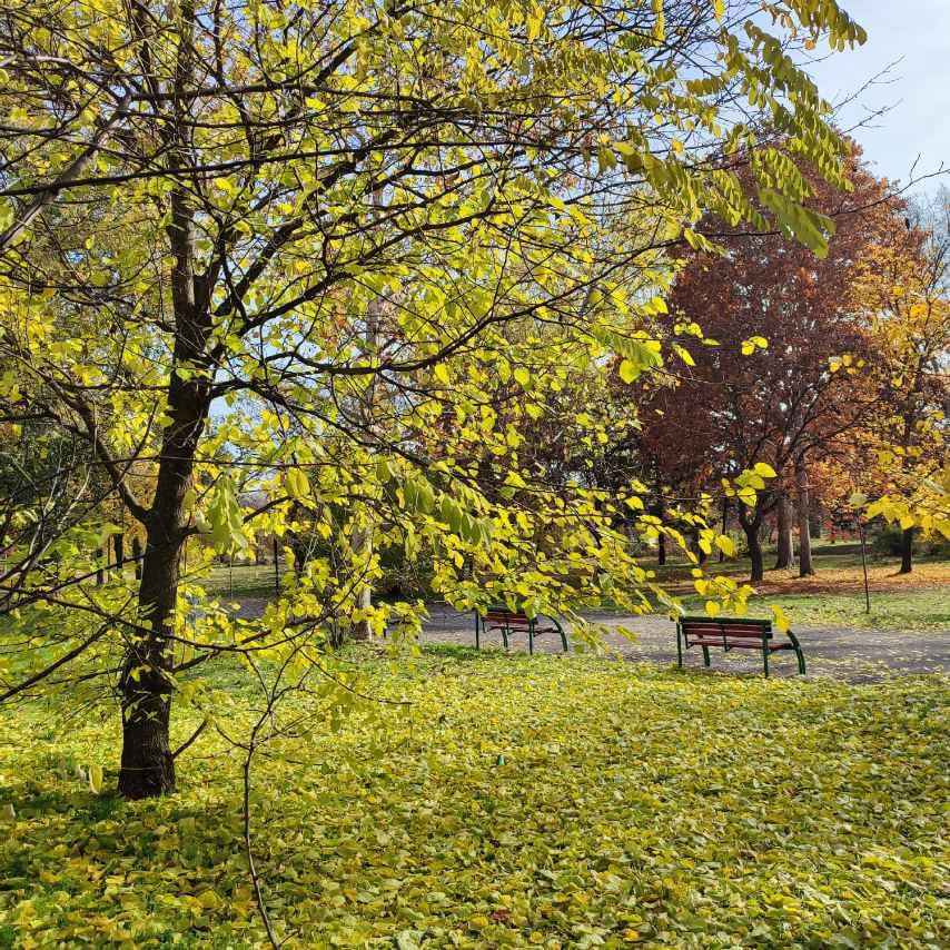 park rozrywki w Skopje