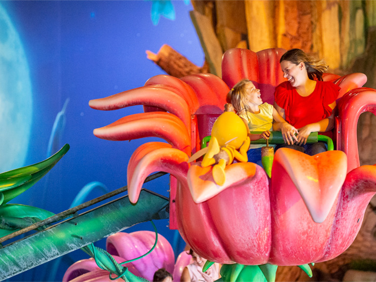 Park rozrywki Momentum Leisure