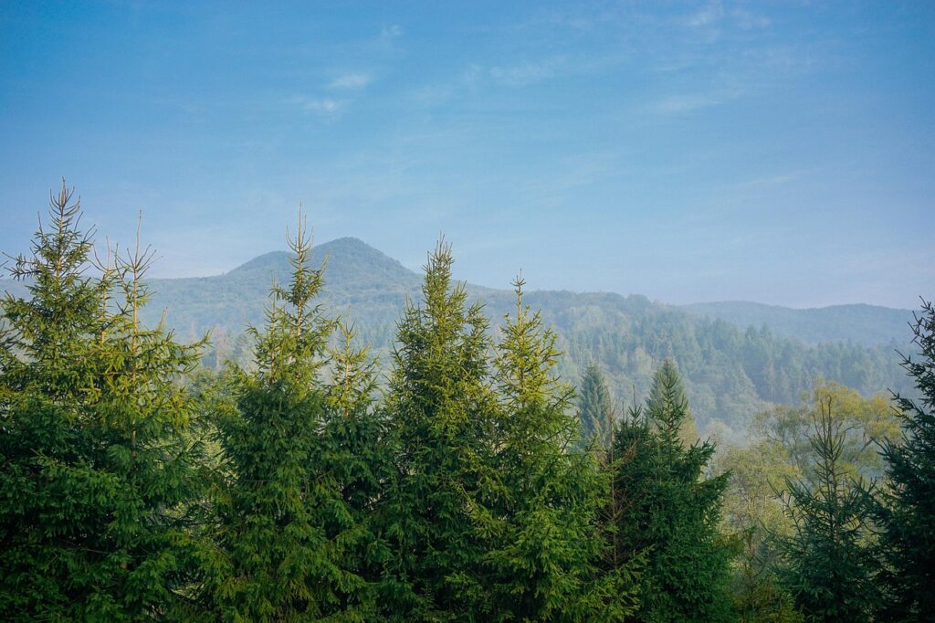park rozrywki Brama Bieszczad