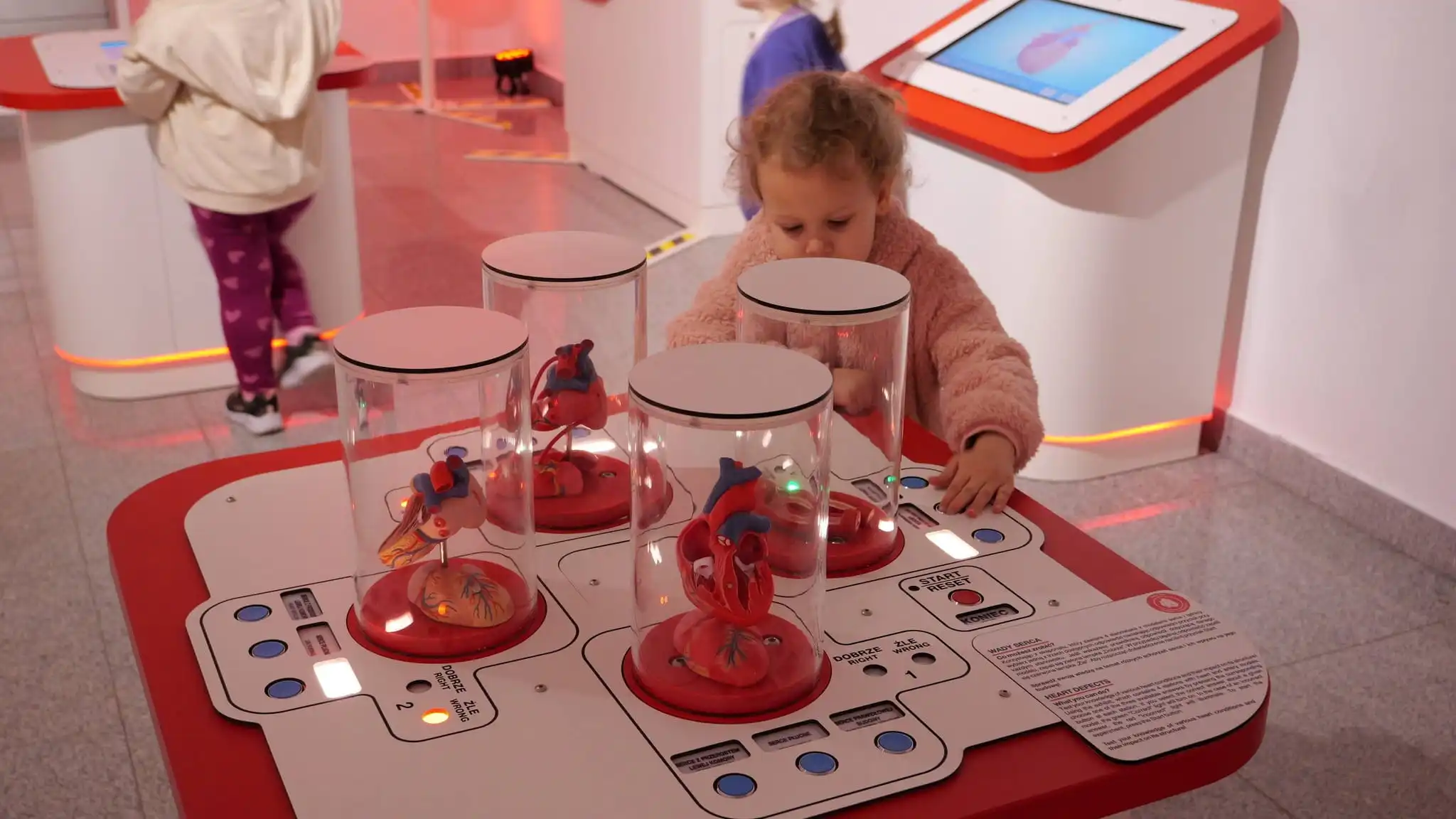 Młyn Wiedzy w Toruniu z nową interaktywną wystawą i eksponatami