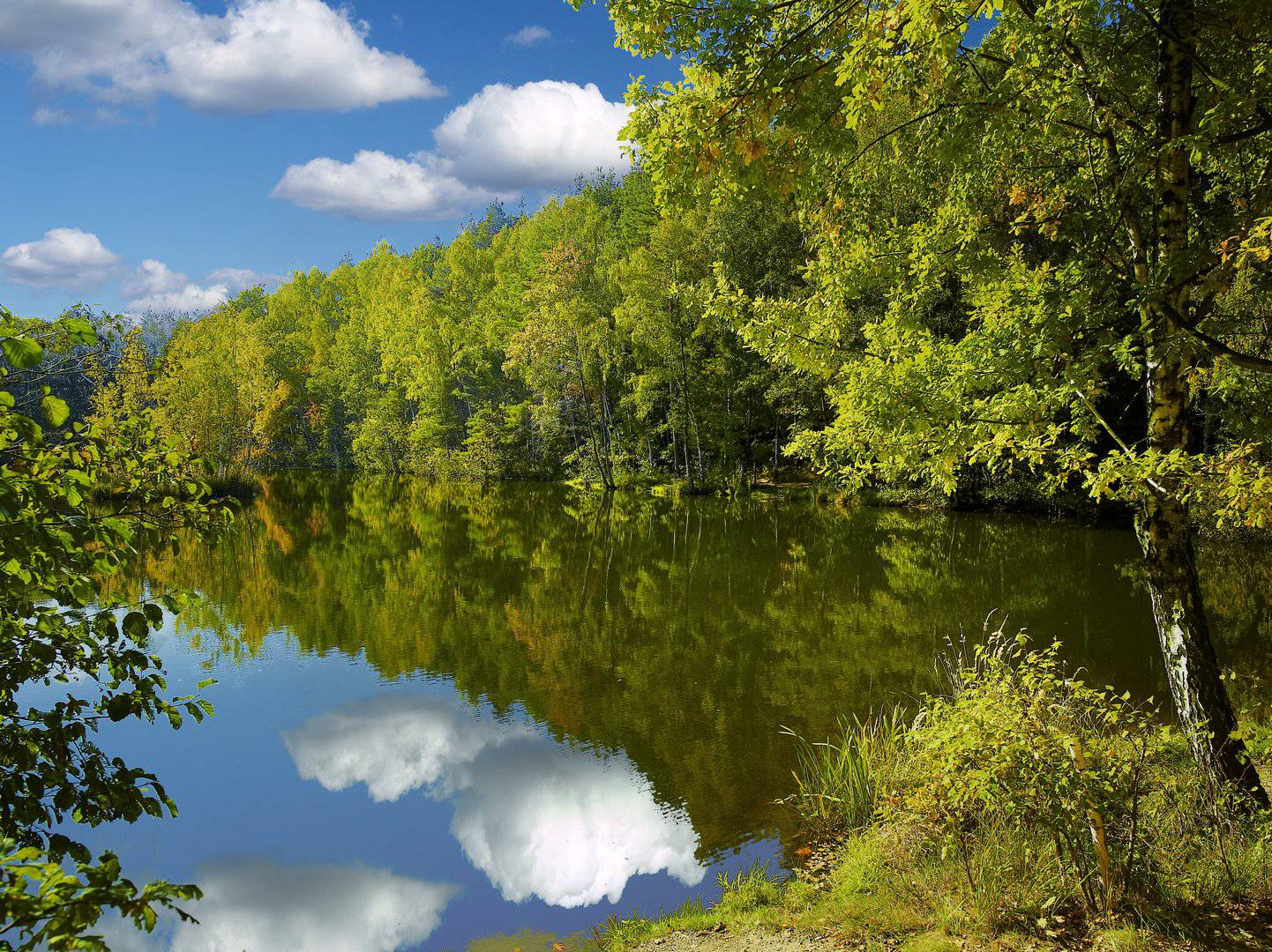 Prawie 4 mln zł na ochronę przyrody w woj. śląskim. Kto może dostać dofinansowanie?
