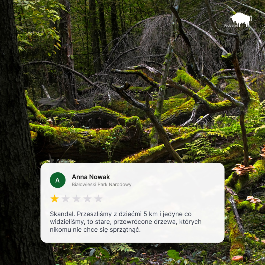 "Rozczaruj się w naturze"