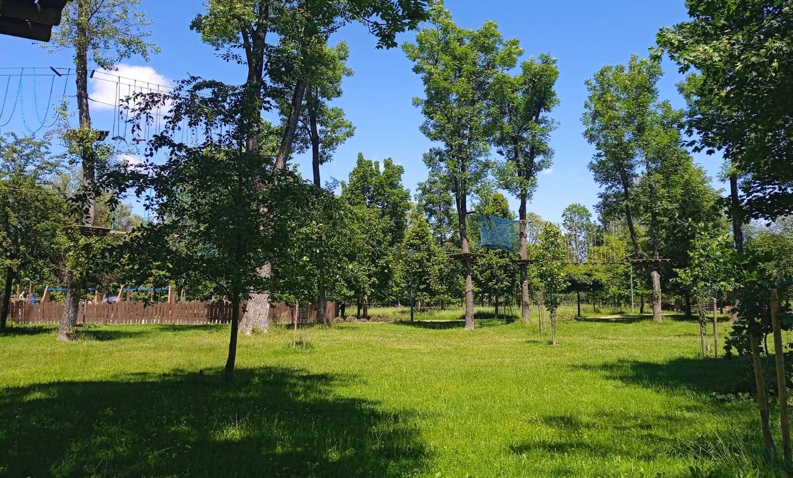 Nowy park linowy na Śląsku niemal gotowy. Wielkie otwarcie 26 czerwca
