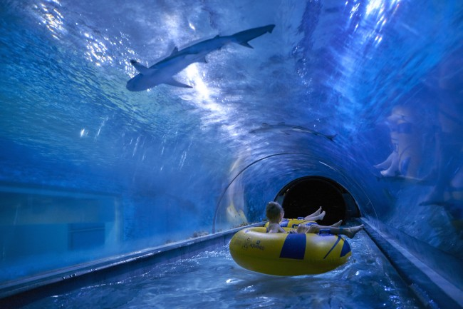 Ewakuacja Aquapark Reda