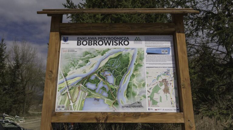 Stary Sącz Bobrowisko