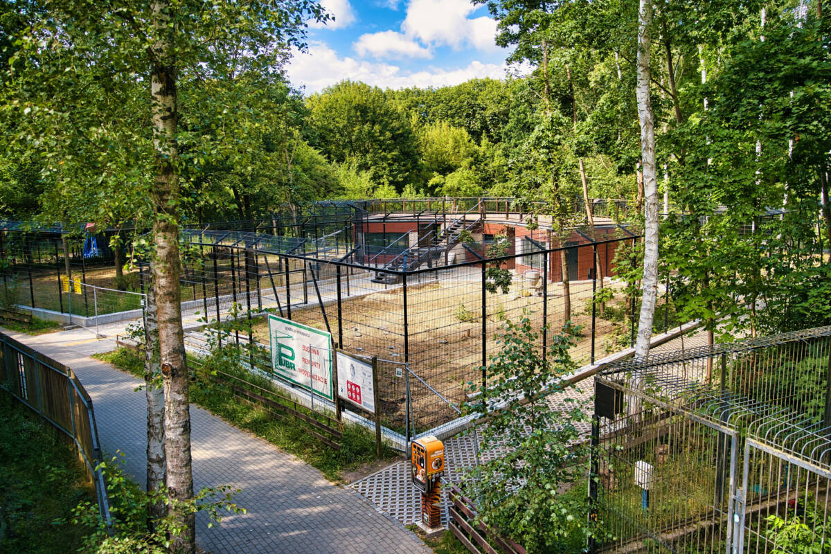 Zoo w Bydgoszczy