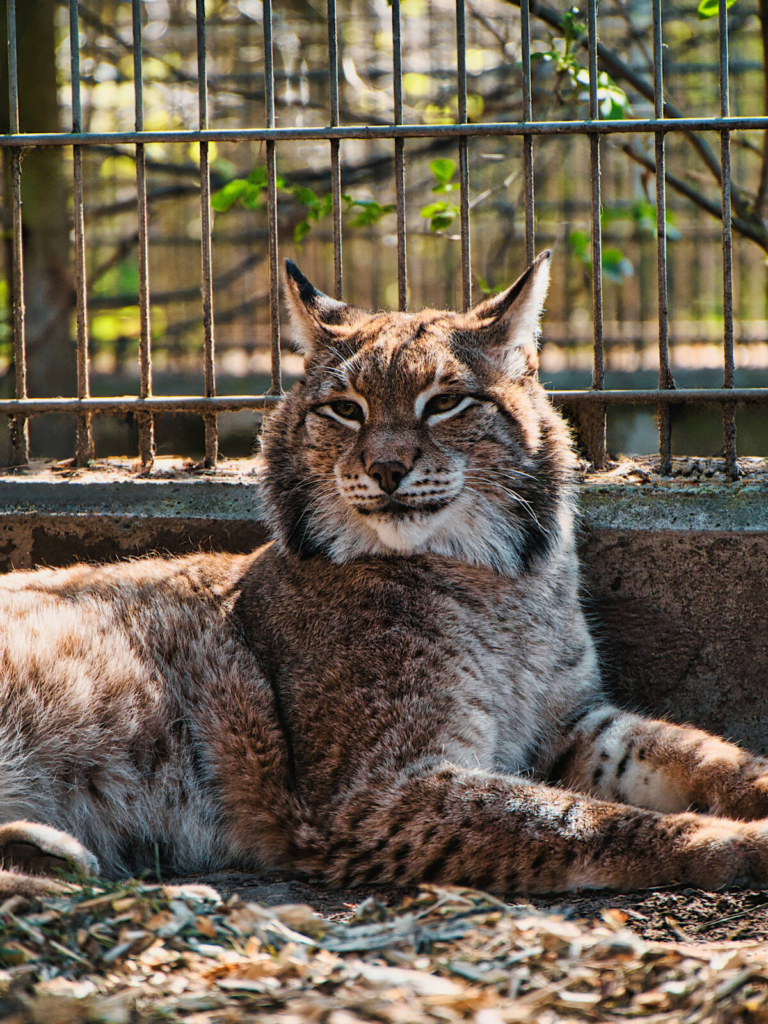 Zoo w Bydgoszczy
