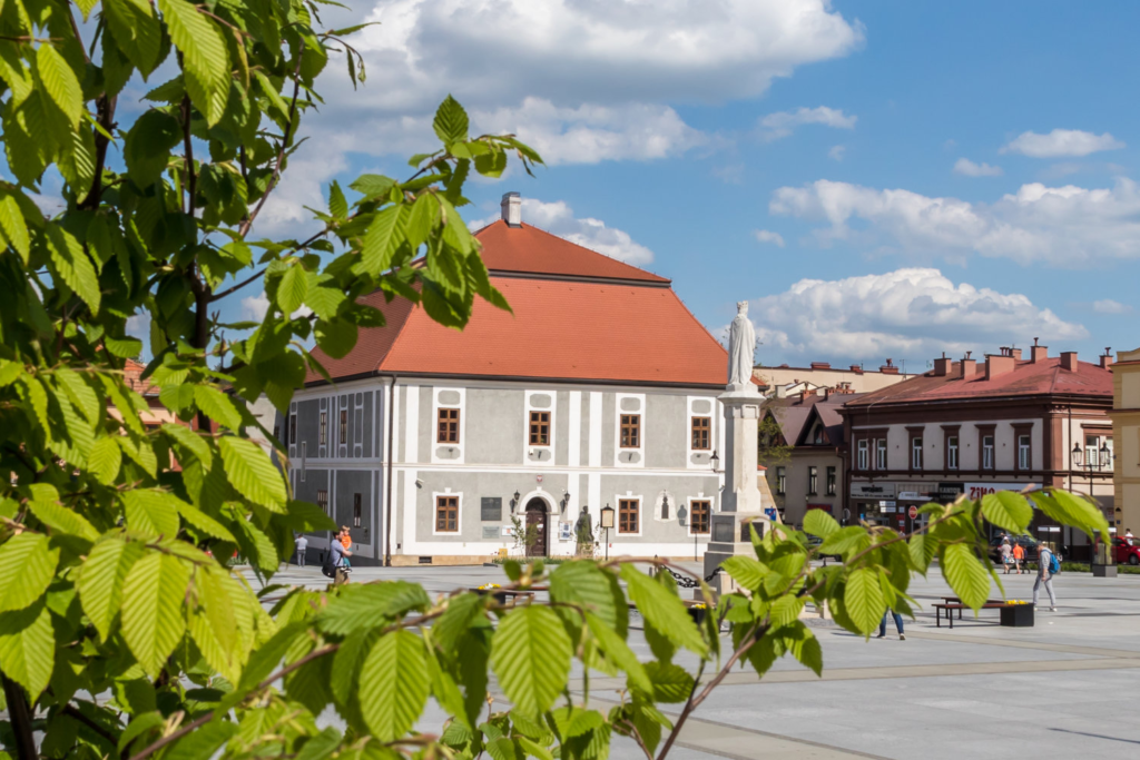 rewitalizacja Muzeum im. Stanisława Fischera