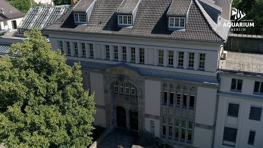 modernizacja Aquarium Berlin