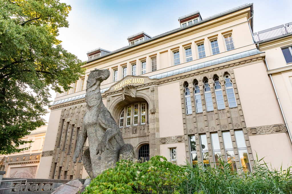 modernizacja Aquarium Berlin