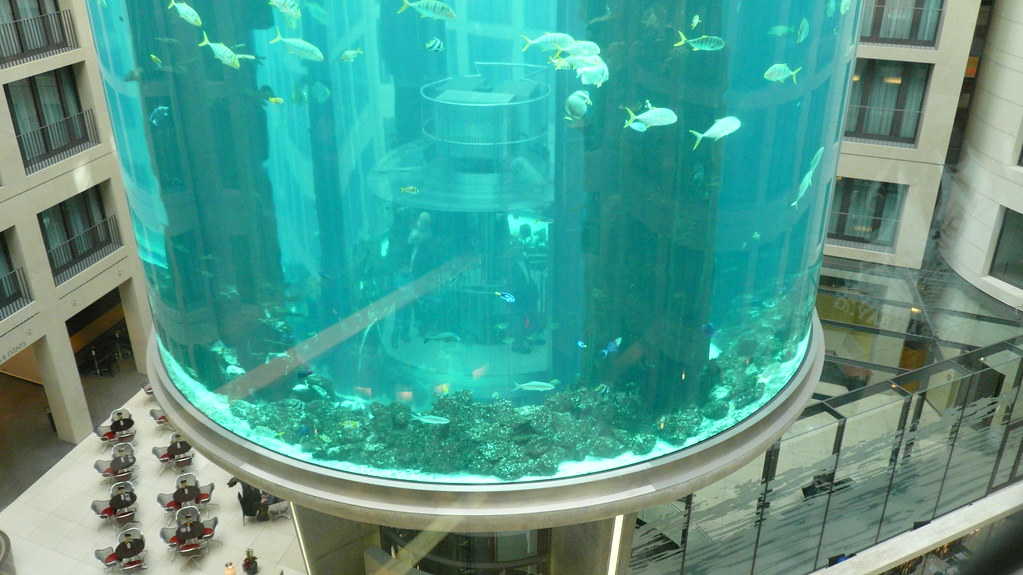 modernizacja Aquarium Berlin