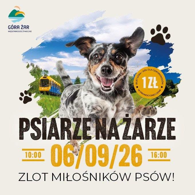 Zlot Miłośników Psów Psiarze na Żarze