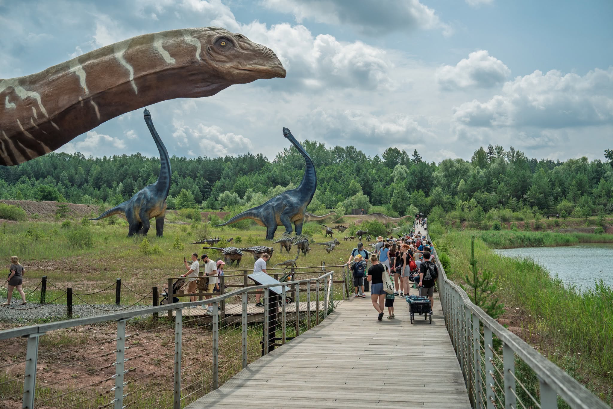 Te miejsca powalczą o tytuł Cudu Polski. Wśród nominowanych m. in. JuraPark w Krasiejowie