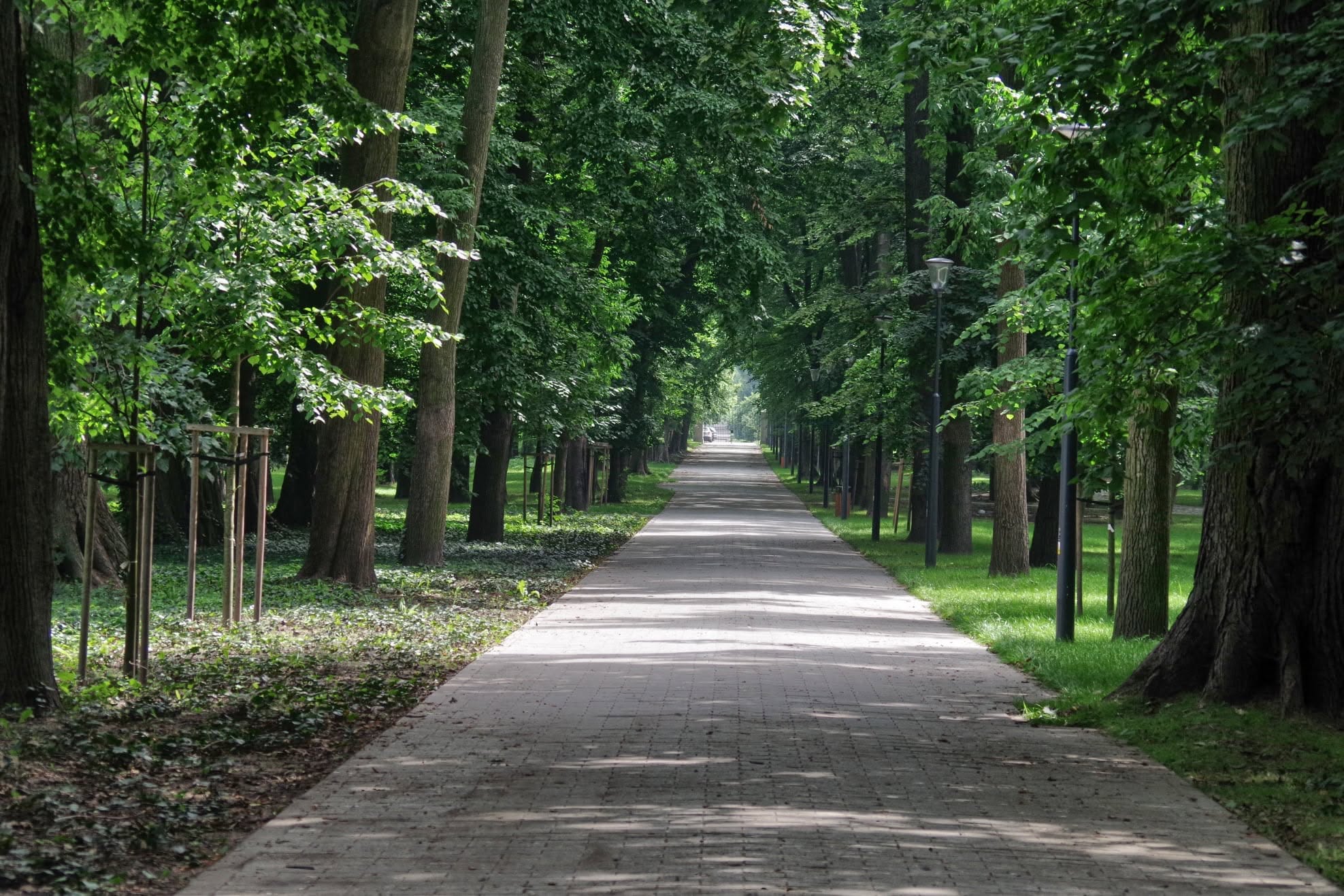 Park Miejski w Lubartowie