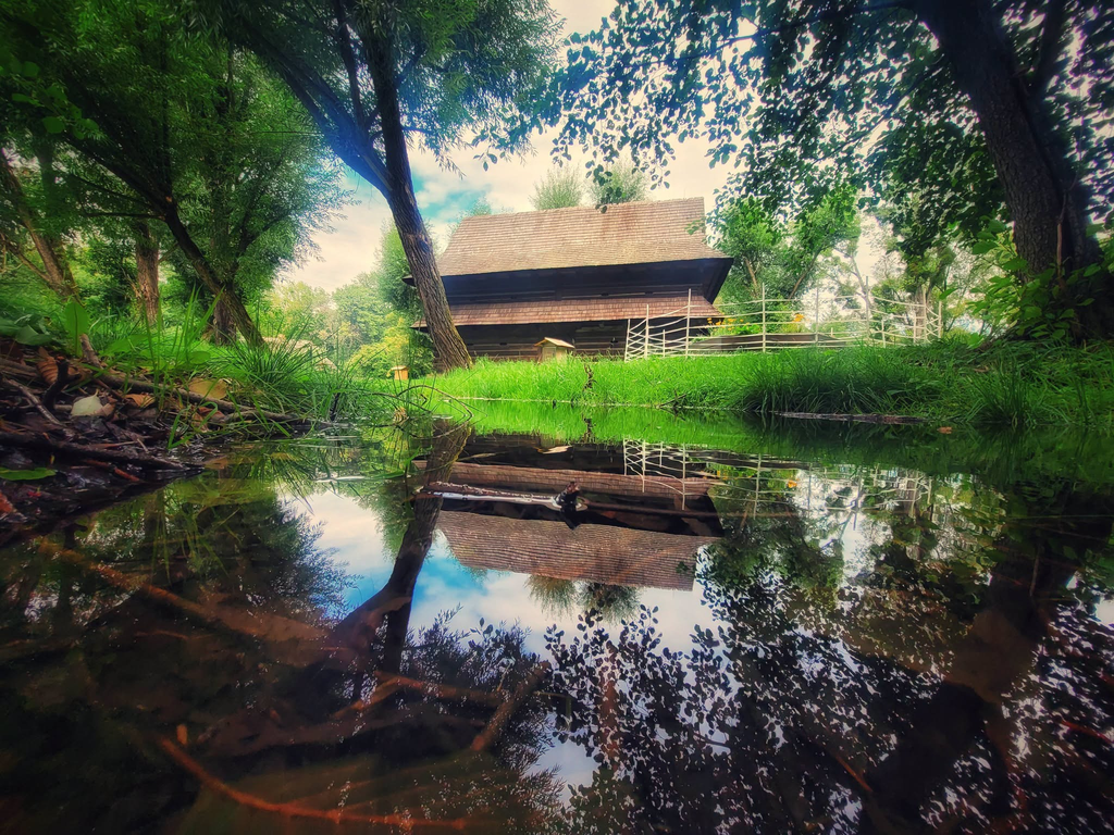 Chorzów pszczoły Uliversum