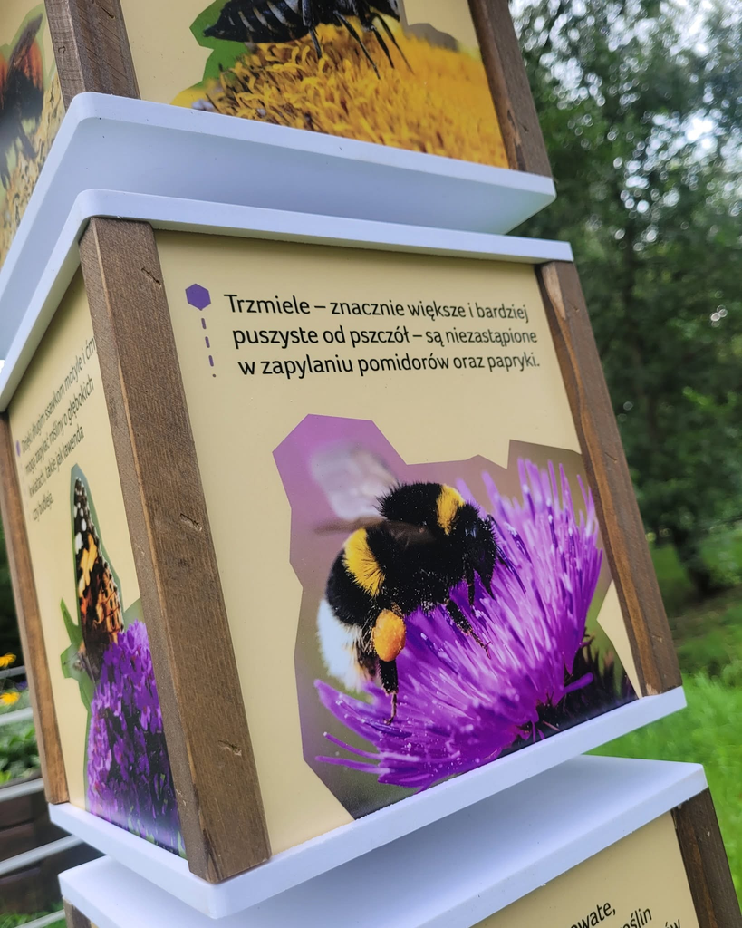 Chorzów pszczoły Uliversum