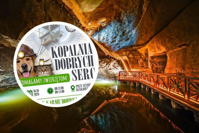 Kopalnia Soli "Wieliczka"